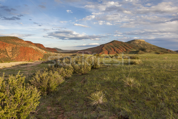 горные ранчо пейзаж Колорадо красный открытых Сток-фото © PixelsAway