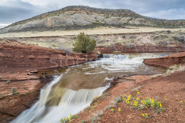 creek with waterfalls at Colorado foothills Stock photo © PixelsAway