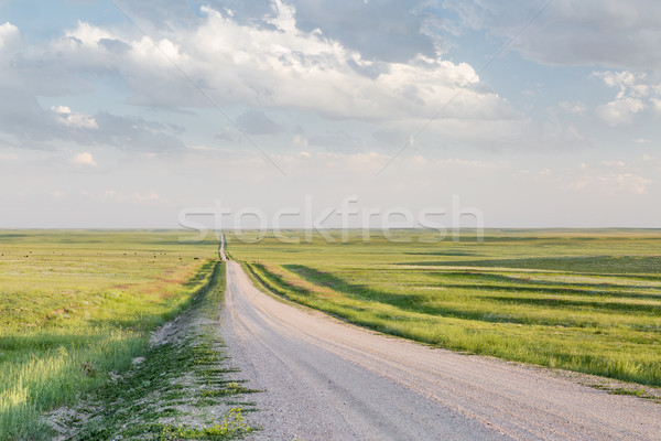 rural road in Colorado prairie Stock photo © PixelsAway