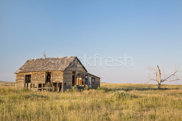 old homestead on prairie Stock photo © PixelsAway