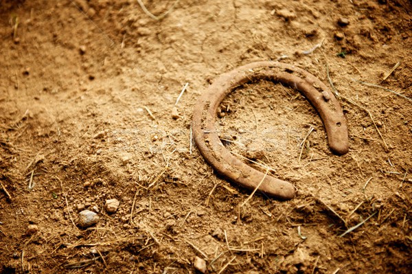 Rusty Old Horse Shoe Lying in Dirt Stock photo © pixelsnap