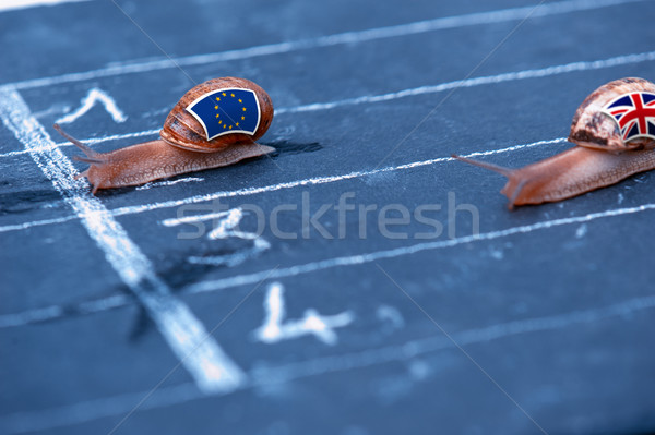 snails race metaphor about Europe against England Stock photo © pixinoo