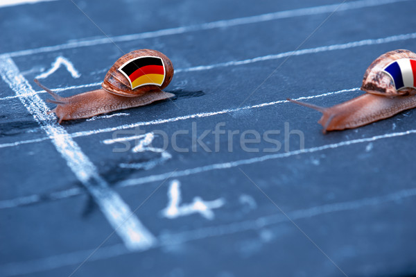 snails race metaphor about Germany against France Stock photo © pixinoo