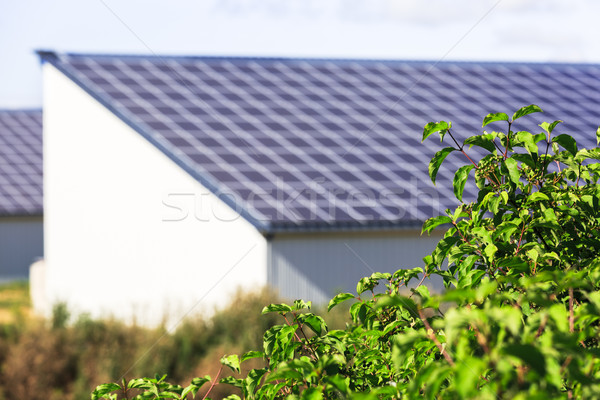 Zöldség fotovoltaikus napelemek égbolt építkezés technológia Stock fotó © pixinoo