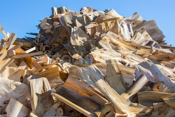 Stock photo: processed wood waste and wood shavings