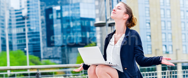 Entspannen Arbeit Spannung Panorama Ansicht Executive Stock foto © pixinoo