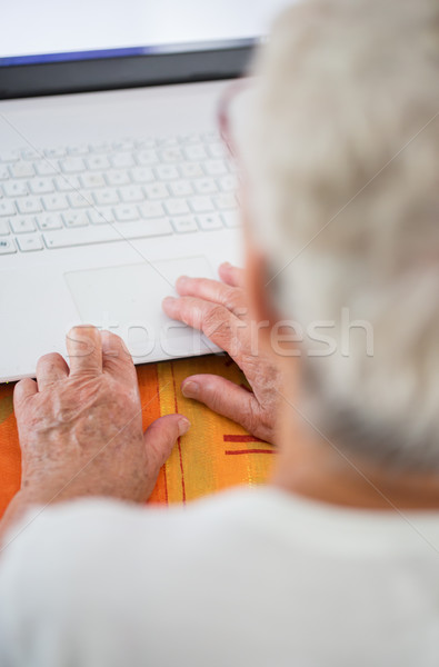 Age spotted hands on the laptop Stock photo © pixinoo