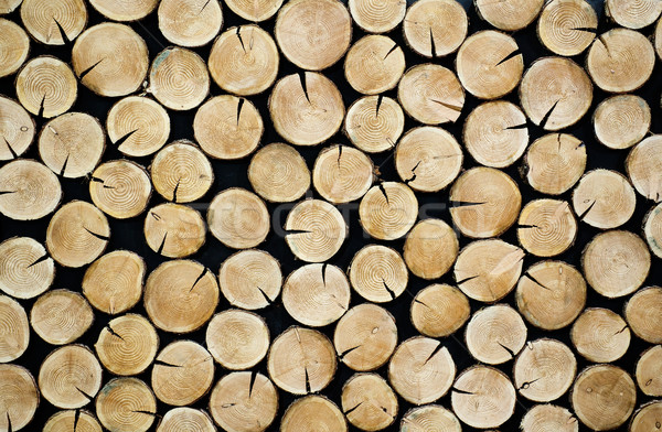 Stacked tree slices Stock photo © pixpack