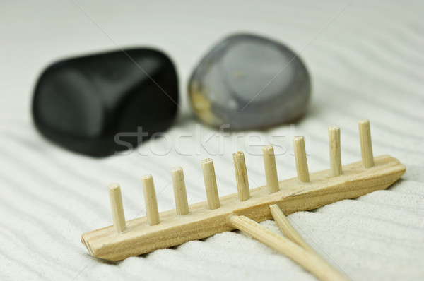 Miniature zen garden Stock photo © pixpack