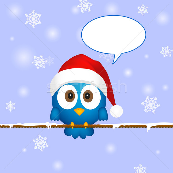 可愛 藍色 聖誕節 鳥 講話泡沫 背景 商業照片 © PiXXart