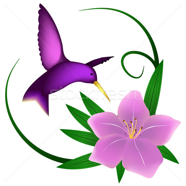 Hummingbird and lily Stock photo © PiXXart