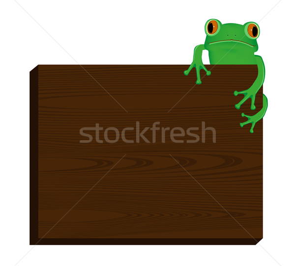 Green tree frog sitting on wood background Stock photo © PiXXart