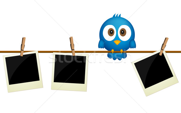 Three blank photos hanging on rope with blue bird sitting betwee Stock photo © PiXXart