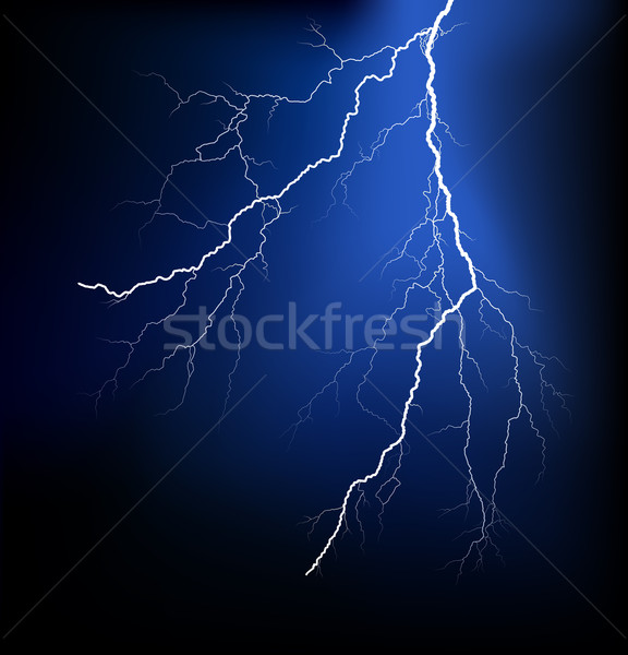 Detailed lightning vector Stock photo © PiXXart