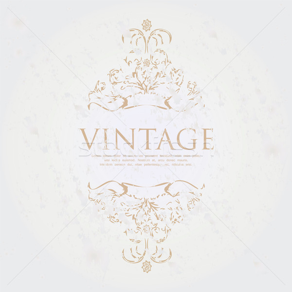 special vintage frame for your website Stock photo © place4design