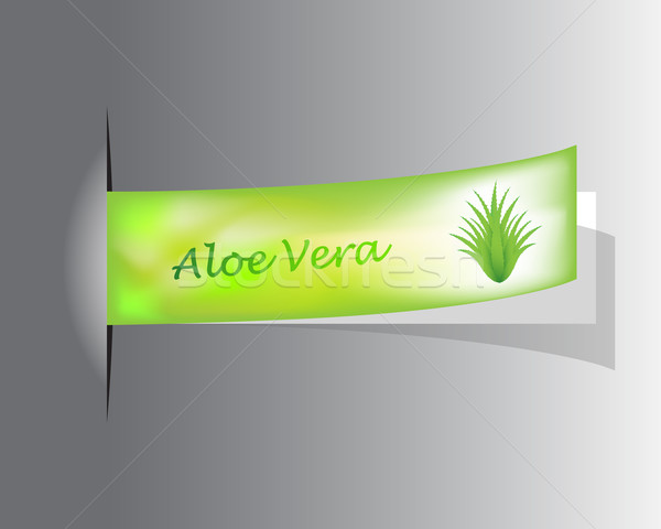 Besondere Label Aloe Design Hintergrund Schönheit Stock foto © place4design