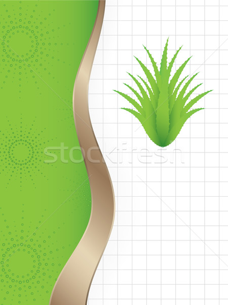 abstract background with a special green aloe vera plant  Stock photo © place4design