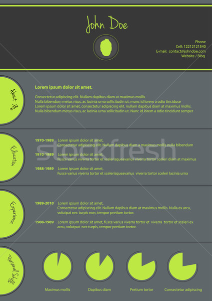 modern cv template, special resume design Stock photo © place4design
