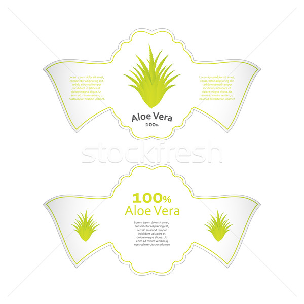 Aloesu specjalny projektu działalności medycznych Zdjęcia stock © place4design