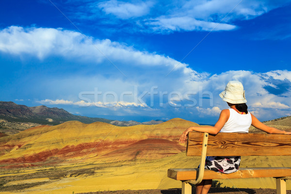 Jeune femme peint collines séance banc Photo stock © pngstudio