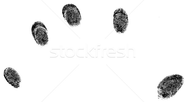  Finger tips - 5 Black Fingerprints Stock photo © PokerMan