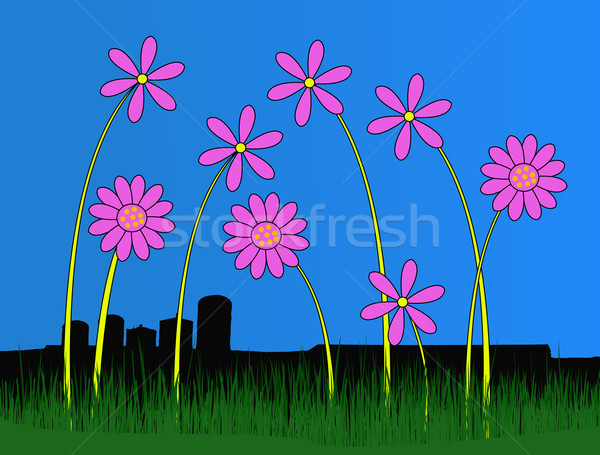 Pink Flowers in front of bleak buildings Stock photo © PokerMan
