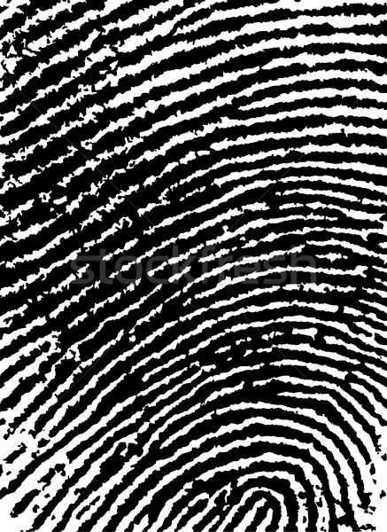 FingerPrint Crop 6 - Low Poly Count Stock photo © PokerMan