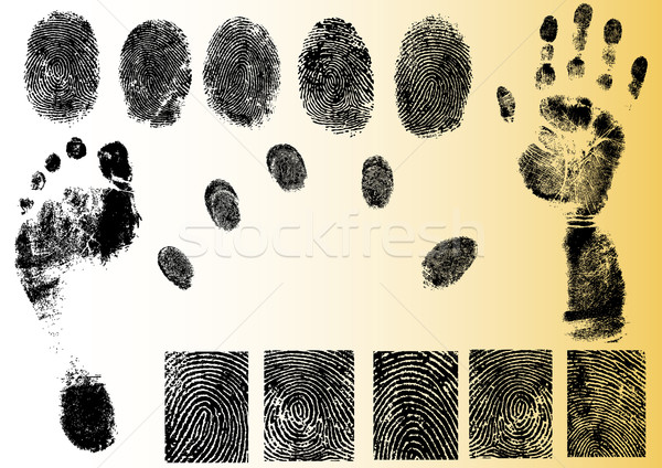 Vector Fingerprint Elements Stock photo © PokerMan