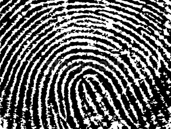 FingerPrint Crop 9 - Low Poly Count Stock photo © PokerMan