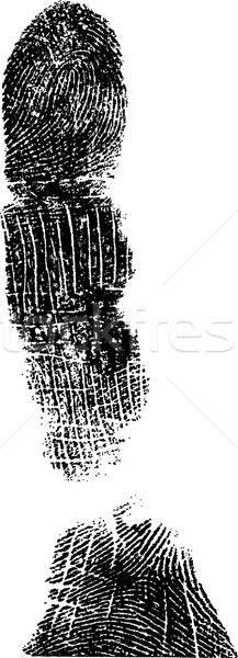 Full FingerPrint 3 Stock photo © PokerMan