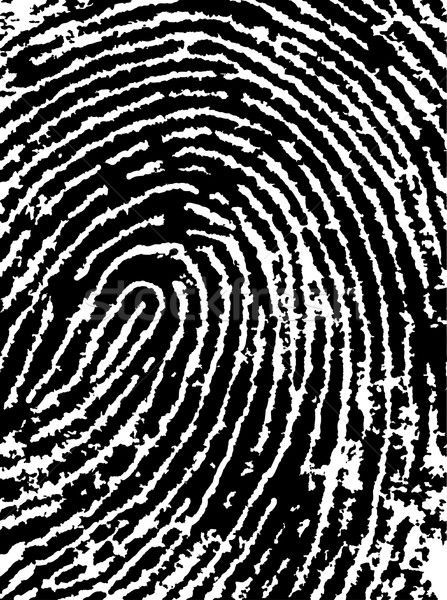 FingerPrint Crop 4 - Low Poly count Stock photo © PokerMan