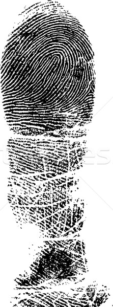 Full FingerPrint 2 Stock photo © PokerMan