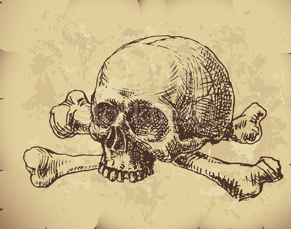 Stock photo: Hand drawn skull