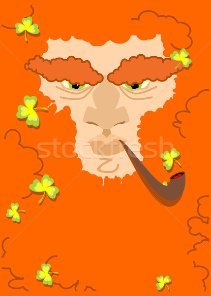Leprechaun with red beard. St. Patricks Day character. Irish hol Stock photo © popaukropa