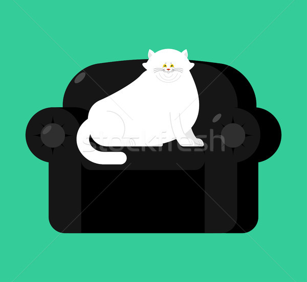 Vet witte kat zachte fauteuil groot Stockfoto © popaukropa