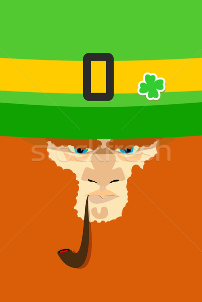 Leprechaun with red beard. St. Patricks Day character. Irish hol Stock photo © popaukropa