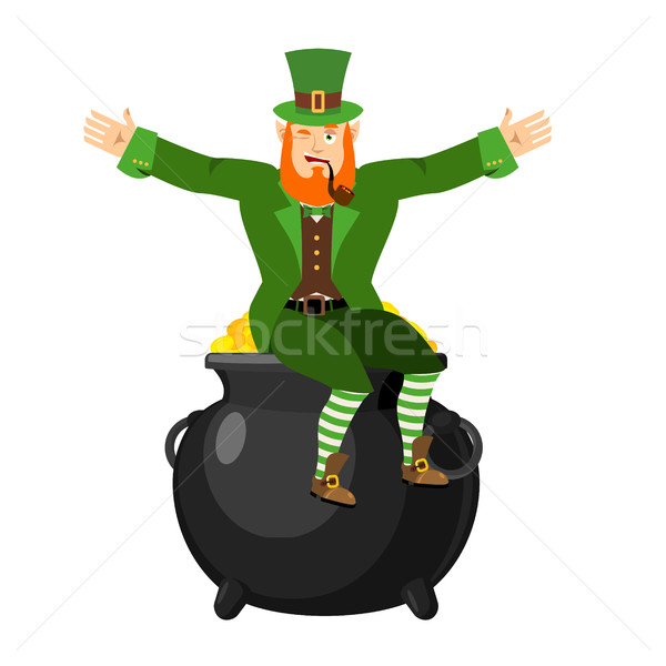 Leprechaun and pot of gold. Dwarf with red beard and boiler of g Stock photo © popaukropa