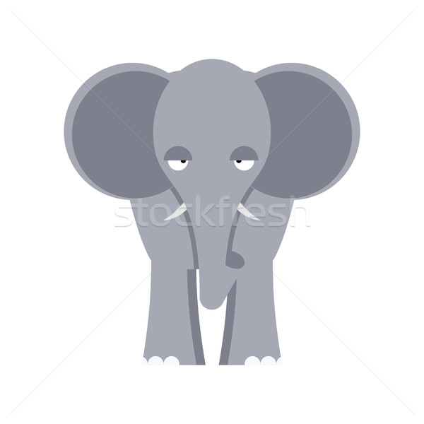 Elefante ver isolado grande Foto stock © popaukropa