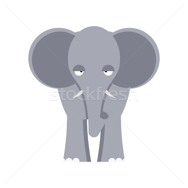 Foto stock: Elefante · frente · vista · aislado · grande