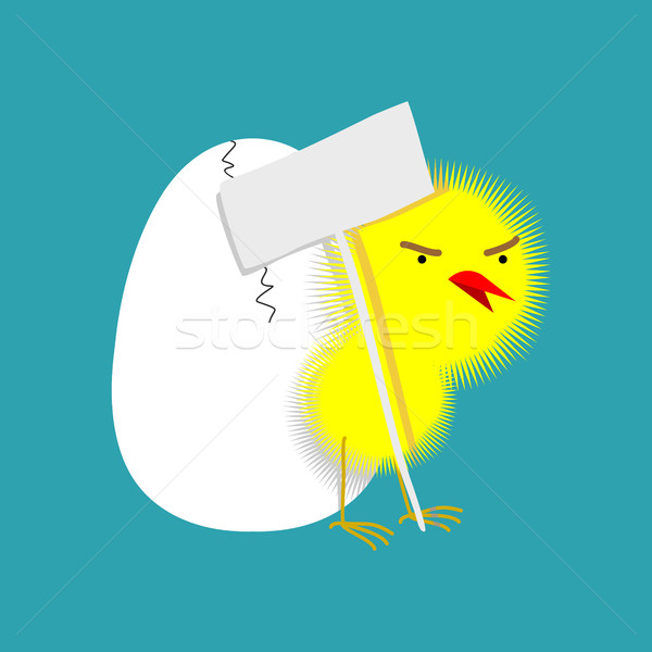 Chick and shell egg isolated. Small Chicken. little farm yellow  Stock photo © popaukropa