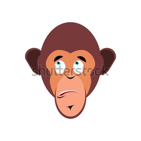 Monkey surprised Emoji. marmoset astonished emotion isolated. Ch Stock photo © popaukropa