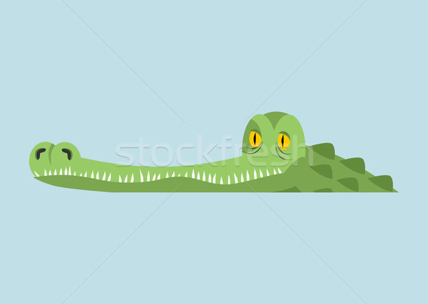 Crocodile in water. Alligator in river. Water reptile predator Stock photo © popaukropa