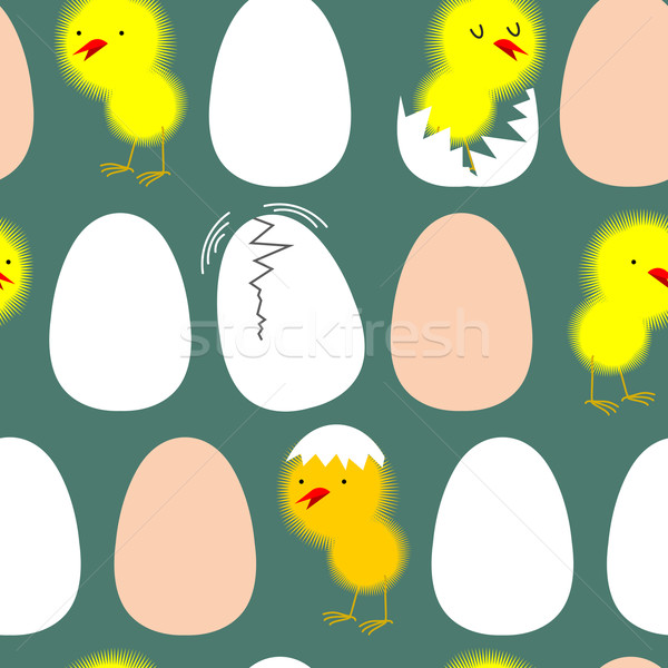 卵 鶏 雛 シェル ベクトル ストックフォト © popaukropa