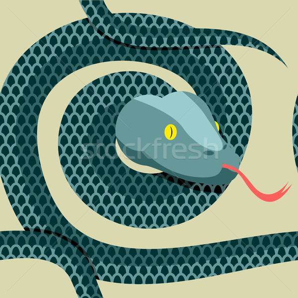 Snake seamless pattern. Longest reptile Python. Vector ornament  Stock photo © popaukropa