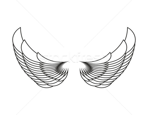 Stock photo: Angel Wings Isolated. White Feather wing of bird
