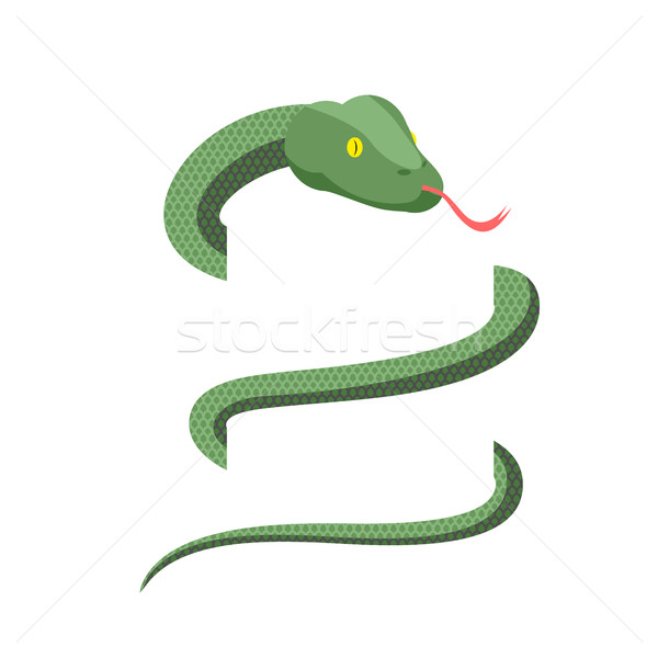 Snake wraps isolated. Cobra on white background. Green Reptile Stock photo © popaukropa
