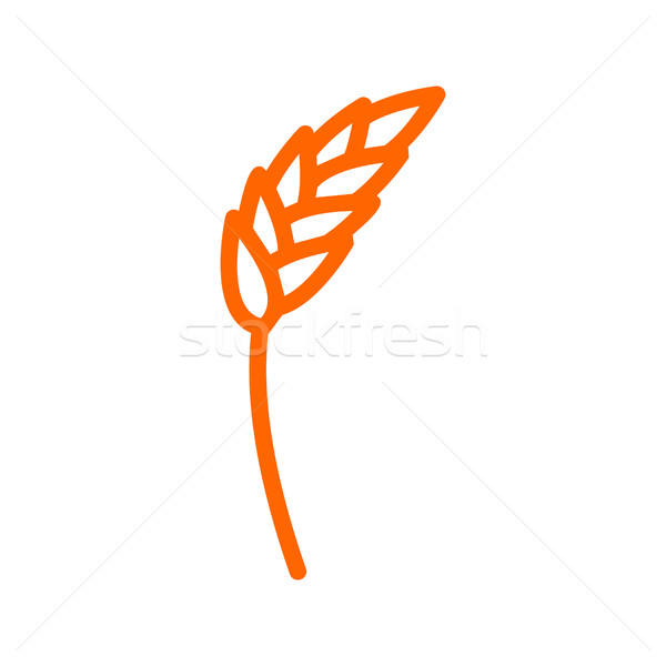 Rye ear line icon. wheat  Sign for production of bread and baker Stock photo © popaukropa