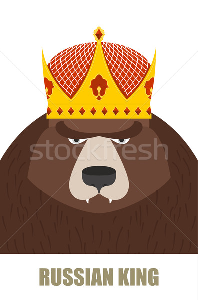 Russian King. Bear in Golden Crown. Vector illustration of a wil Stock photo © popaukropa