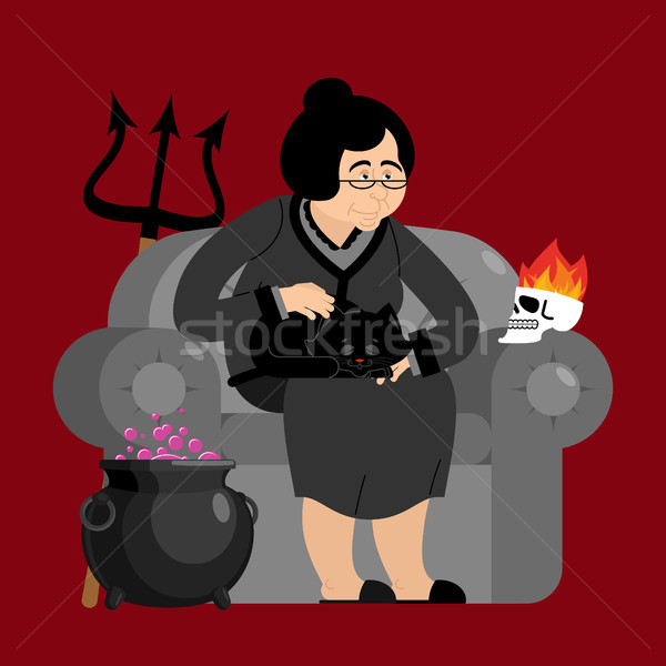 Witch in chair. Skull and black cat. Sorceress and Magic Pot Pot Stock photo © popaukropa