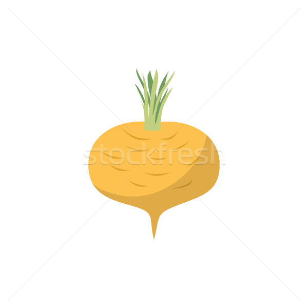 Turnip isolated. Yellow vegetables on white background. vegetari Stock photo © popaukropa